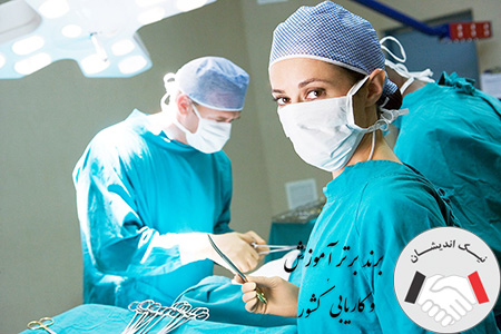 حقوق کمک پرستار در سال ۱۴۰۲